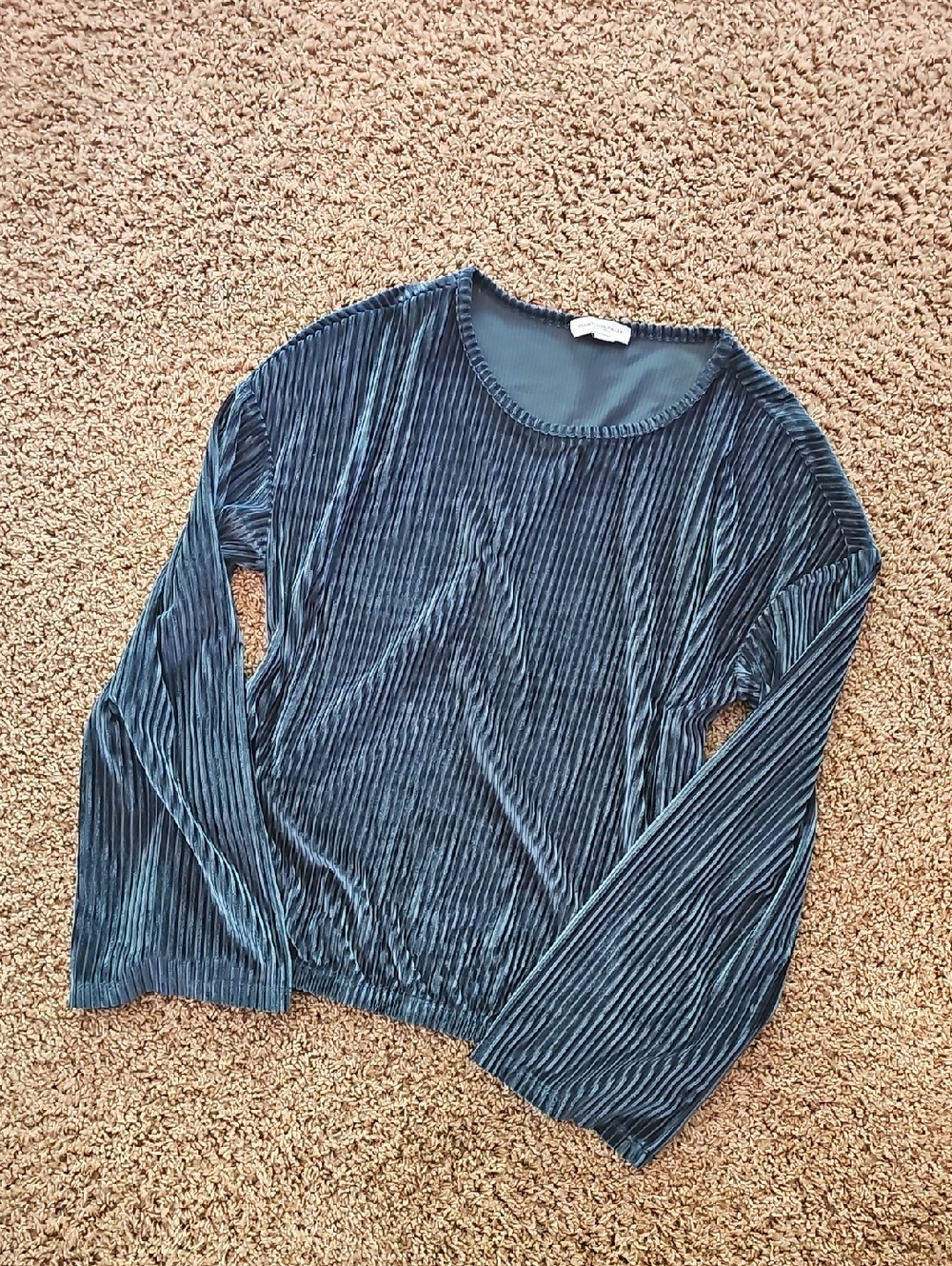 Ribbed Velvet Long-Sleeve Top in Teal